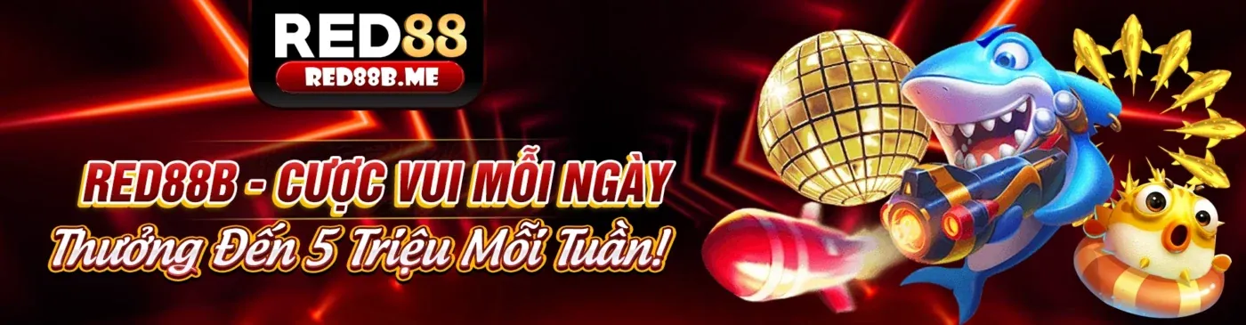Hướng dẫn chi tiết các bước đăng nhập vào OKKINH